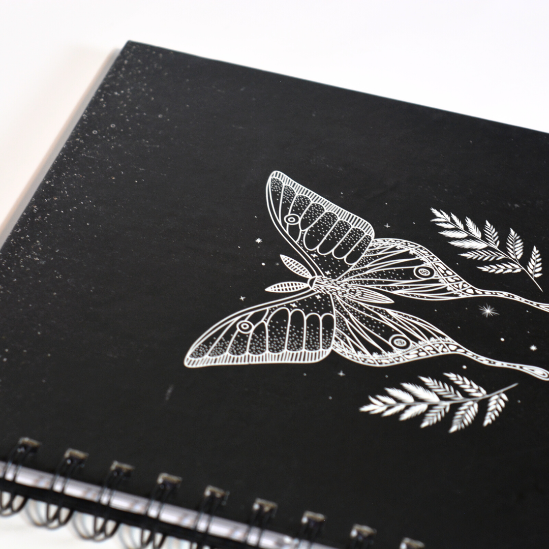 Black Butterfly