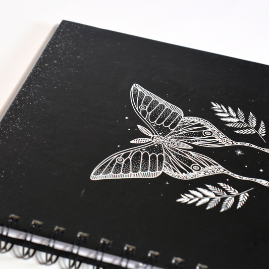 Black Butterfly