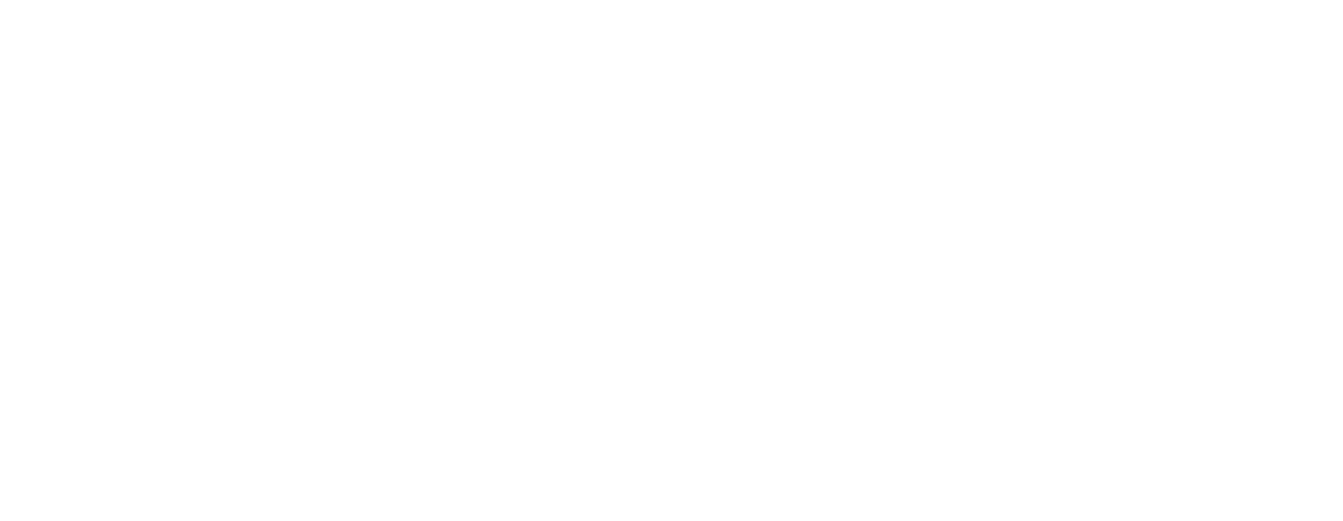 footer-logo